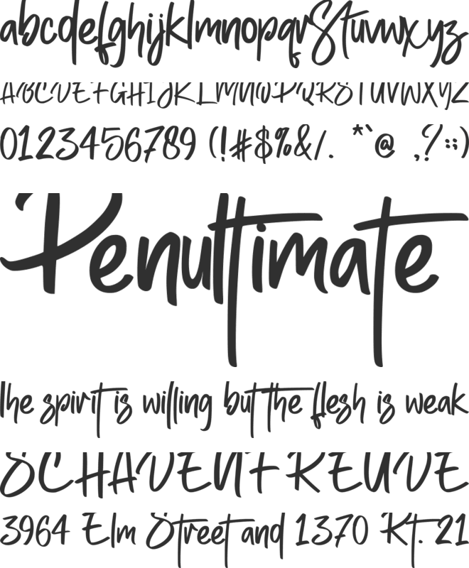 Amsterdam Kindom - Personal use font preview