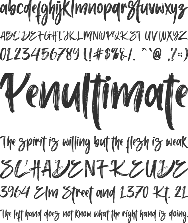 Chollistio - Personal use font preview
