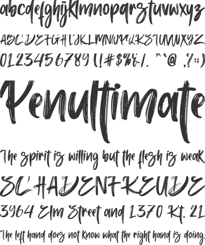 Chollistio - Personal use font preview