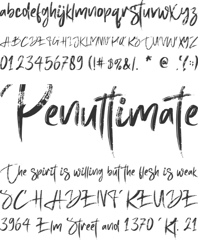 Brigitta Signature - Personal u font preview