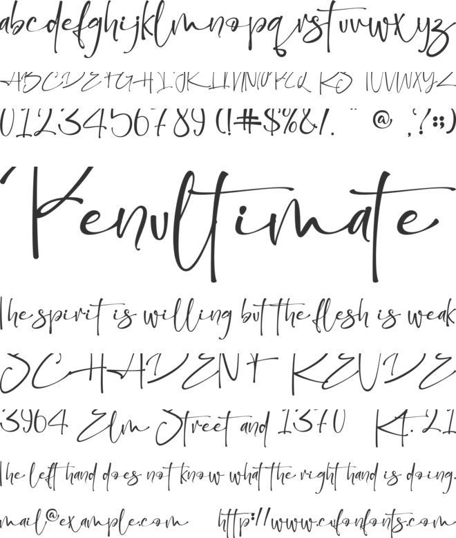 Christmas Worship - Personal us font preview