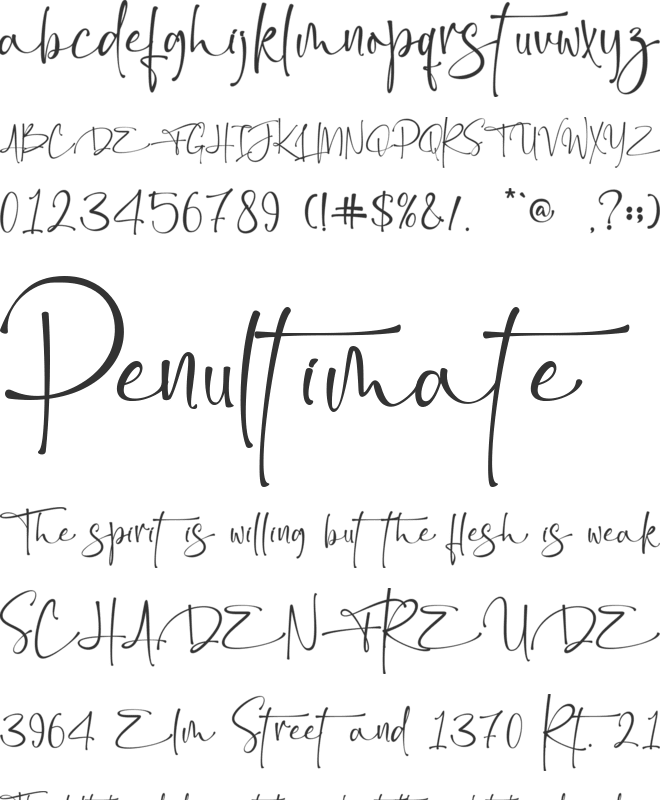 Bittersoni - Personal Use font preview