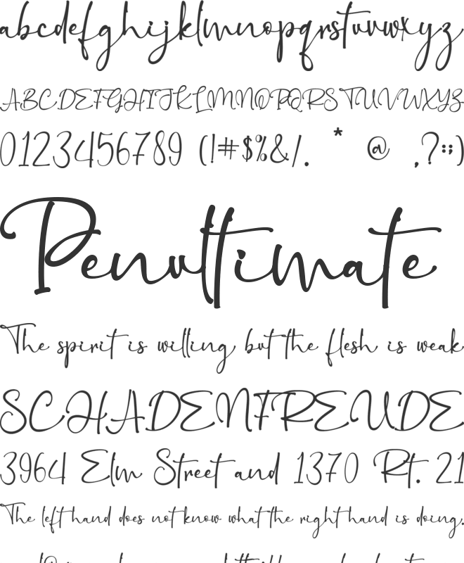 Bellarosa - Personal use font preview