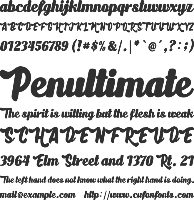 Boldka Script font preview