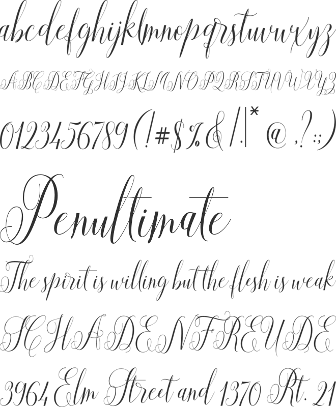 Aneisha Script font preview