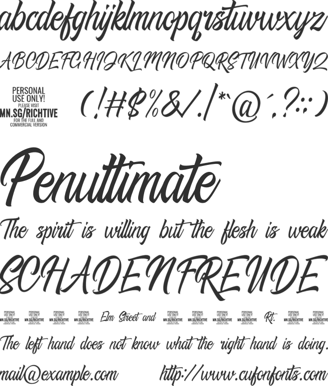 Richtive Script PERSONAL USE font preview