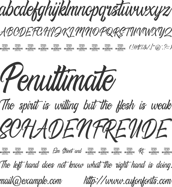 Richtive Script PERSONAL USE font preview