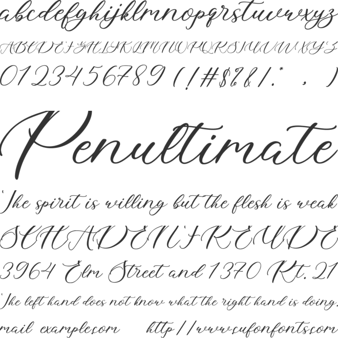 Another Love font preview