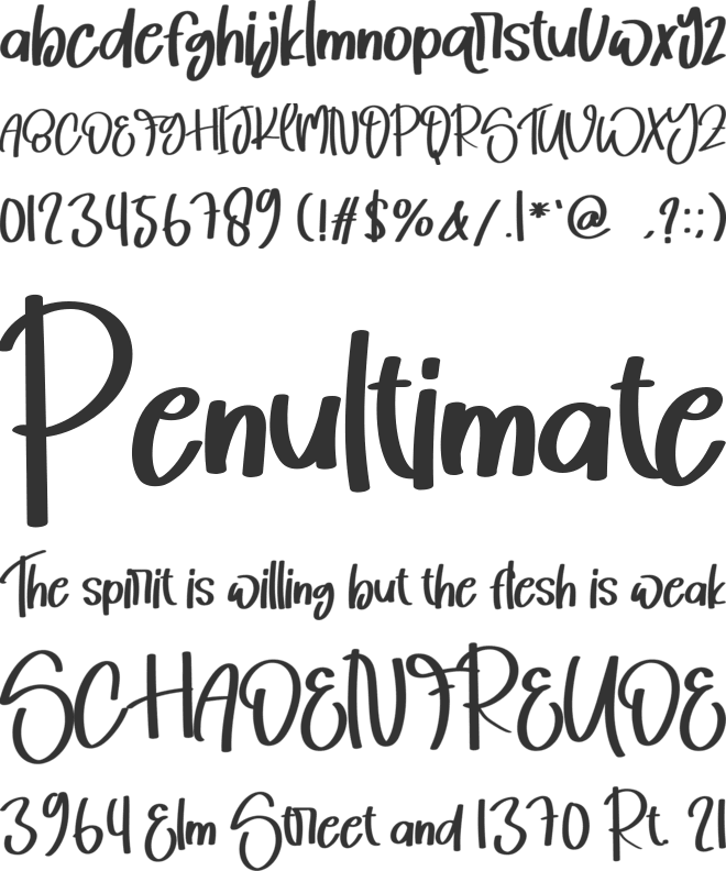 Sunday  Family font preview