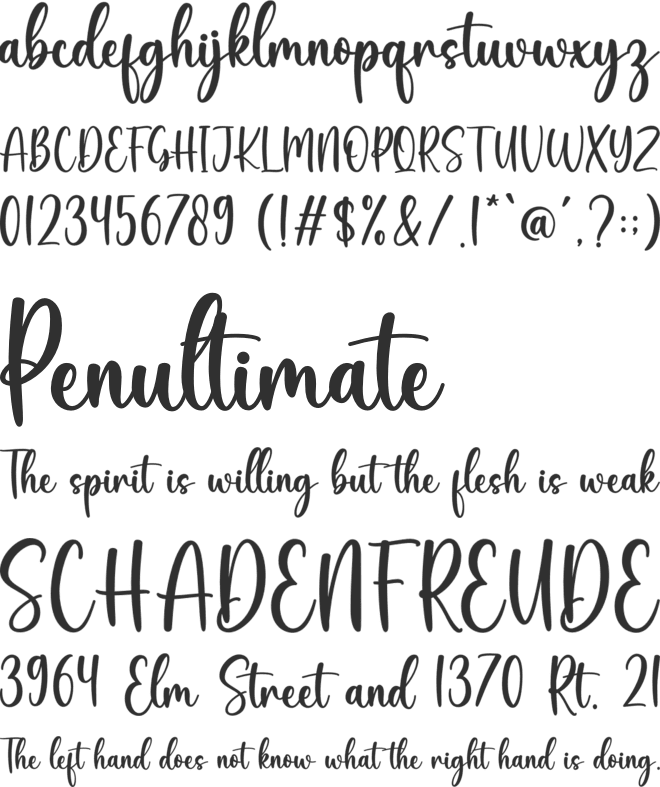 Angie font preview