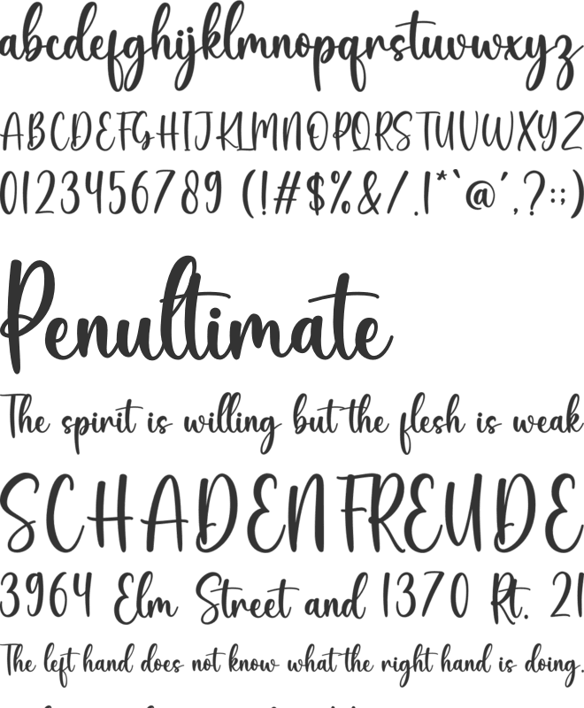 Angie font preview