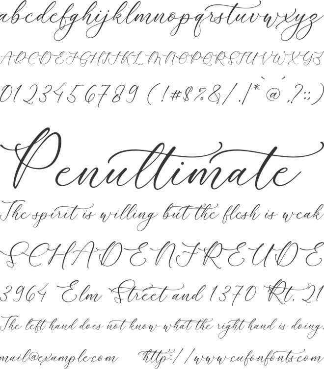 Rumaysa Chambert font preview