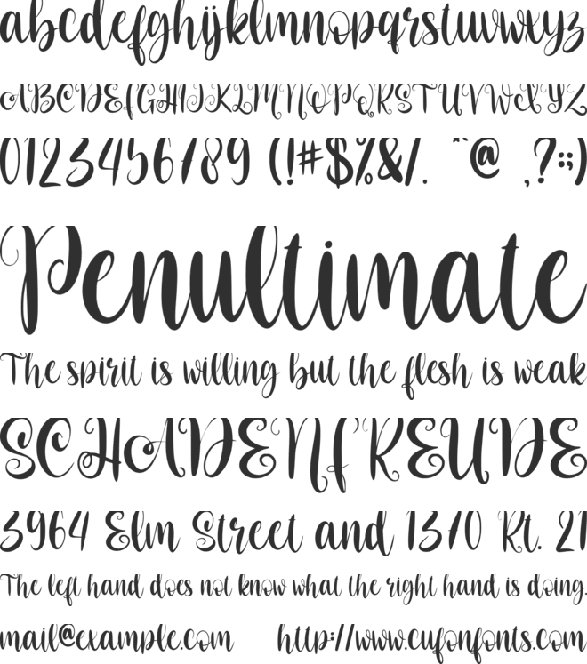 Christmas Script-Personal use font preview