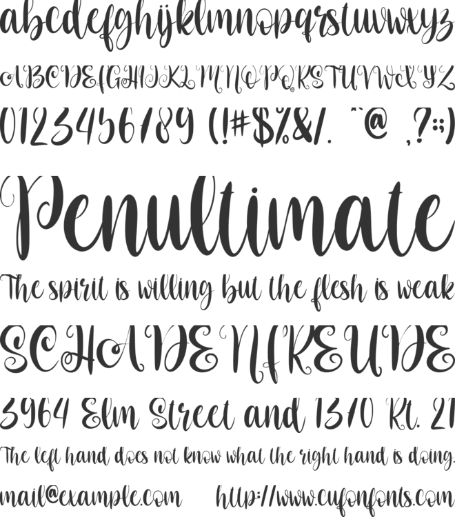 Christmas Script-Personal use font preview