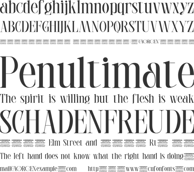 Caorgen Personal Use Only font preview