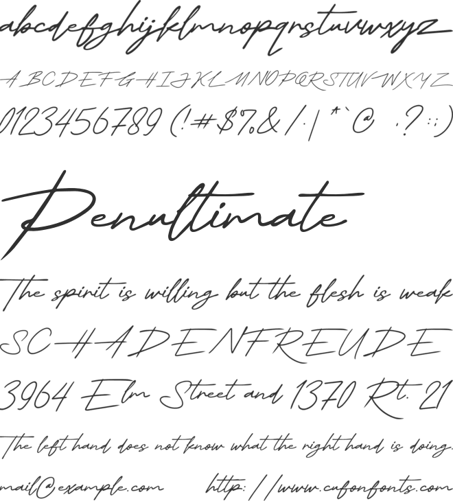 Thesignature font preview