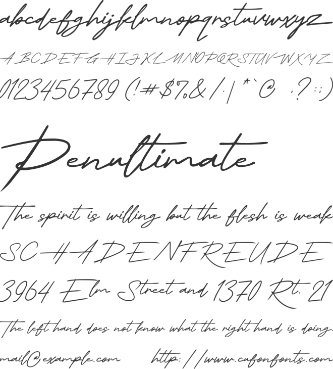 Thesignature font preview