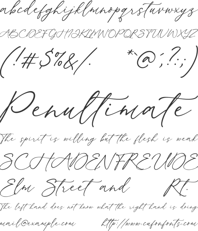 Amourette font preview