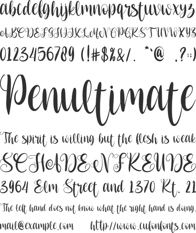 Merry Script-Personal use font preview