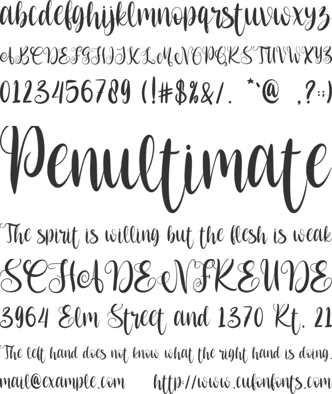 Merry Script-Personal use font preview