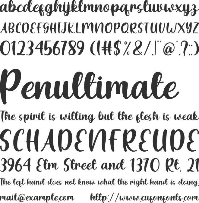 Fresh Night font preview