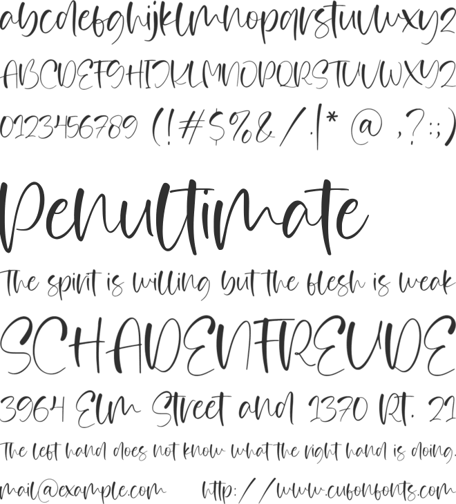 Canfield font preview