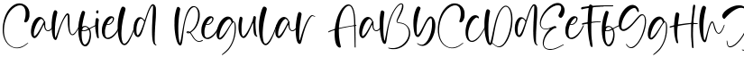 Canfield Regular font