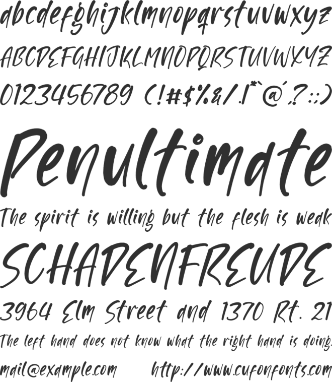 Scartoon font preview