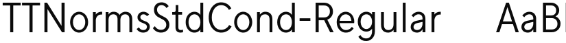 TT Norms Condensed font download