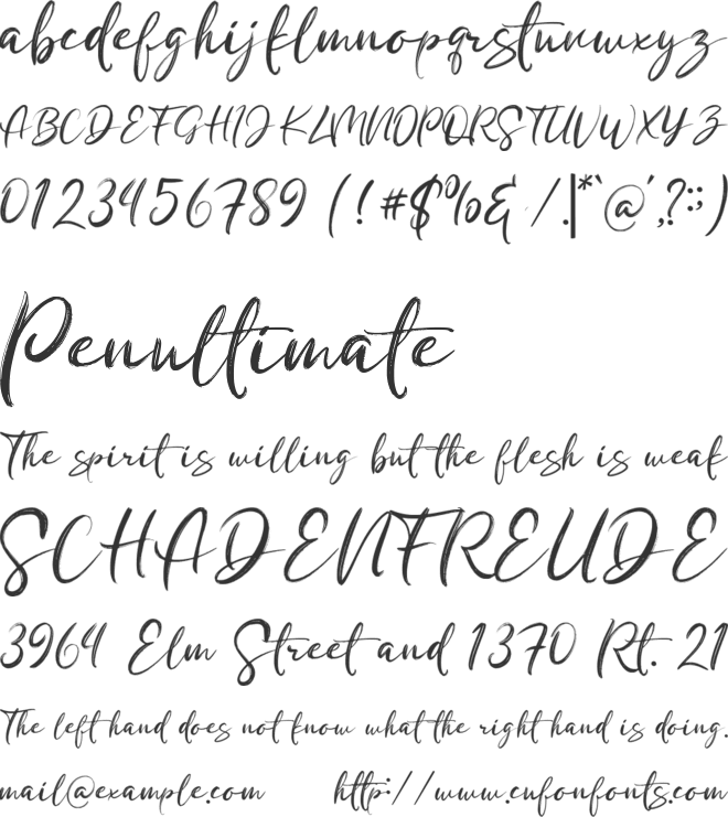 Bostonbrush font preview