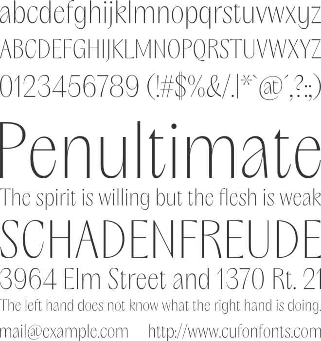 PP Acma font preview