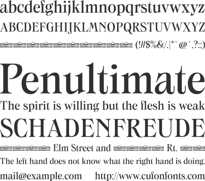Swanstone Trial font preview