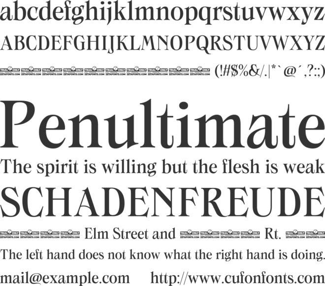 Swanstone Trial font preview