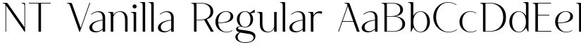NT Vanilla Regular font