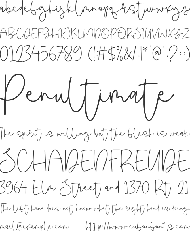 Wild Story font preview