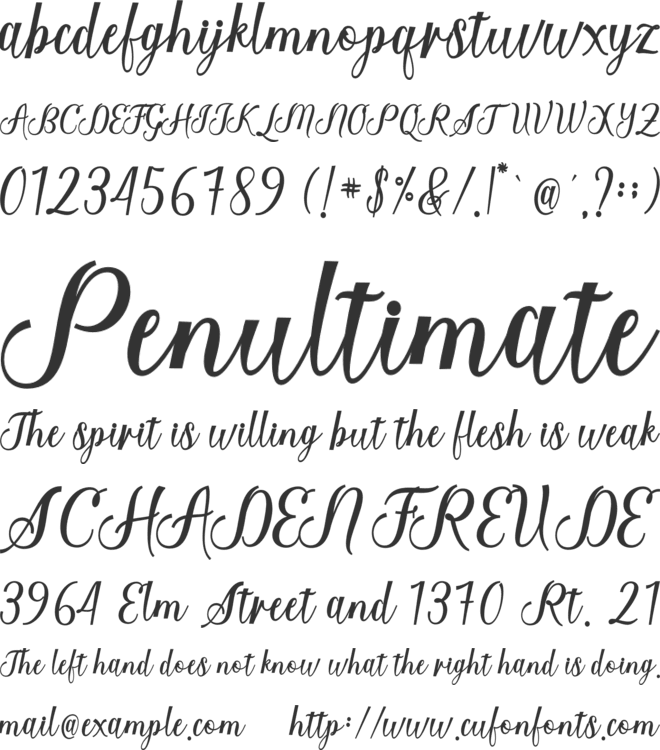 Federica Script font preview
