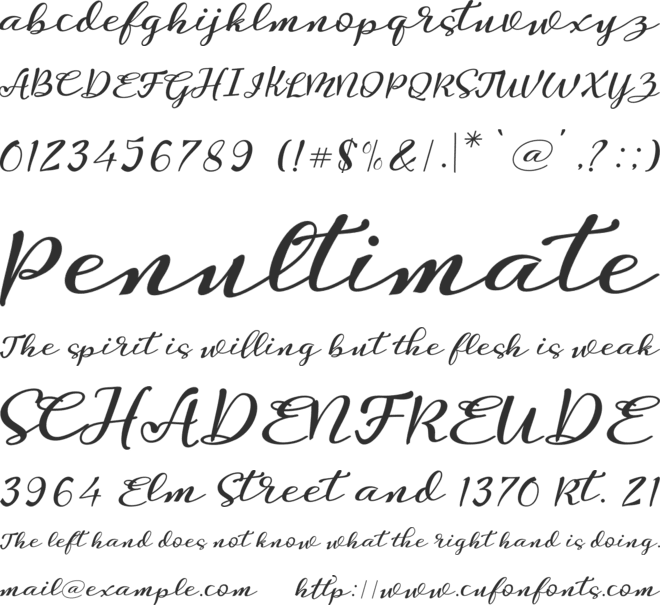 Desintona Script font preview