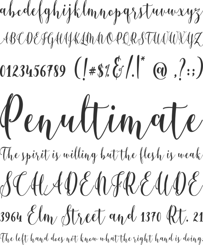 Berthilda Script font preview