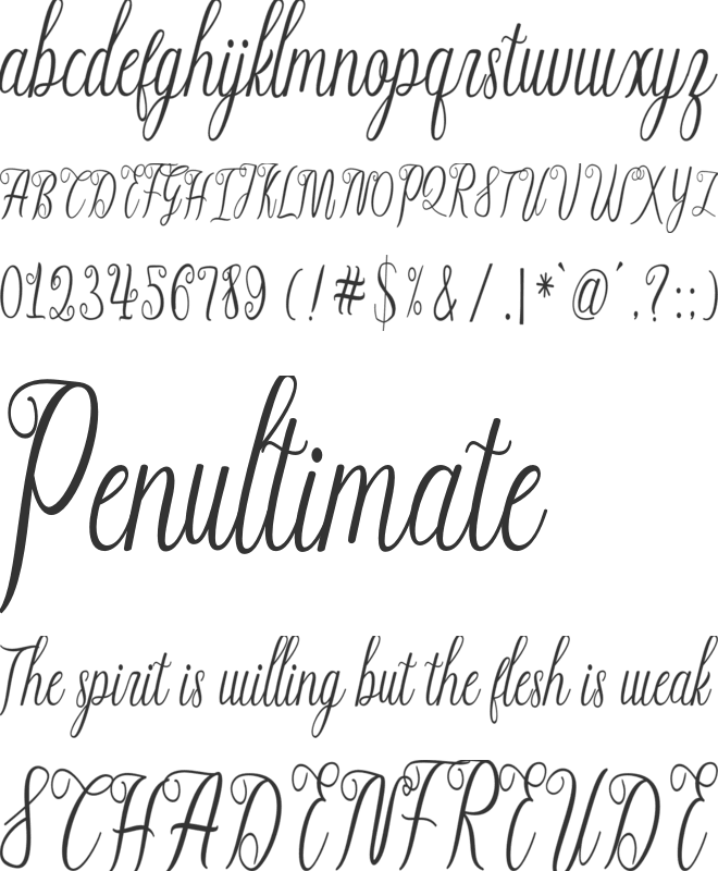 Werdhian Script font preview