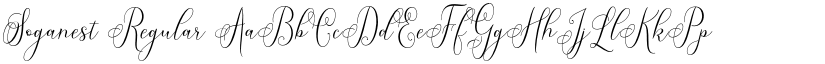 Soganest Regular font