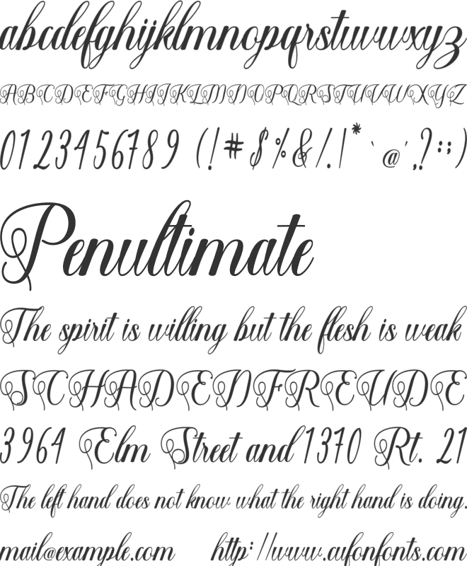 Shantea Script font preview