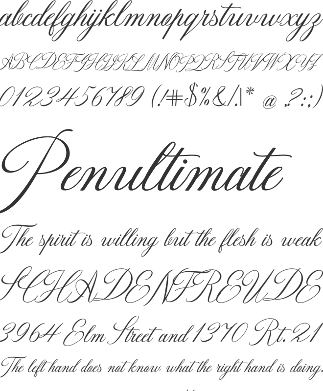 Darshye Script font preview