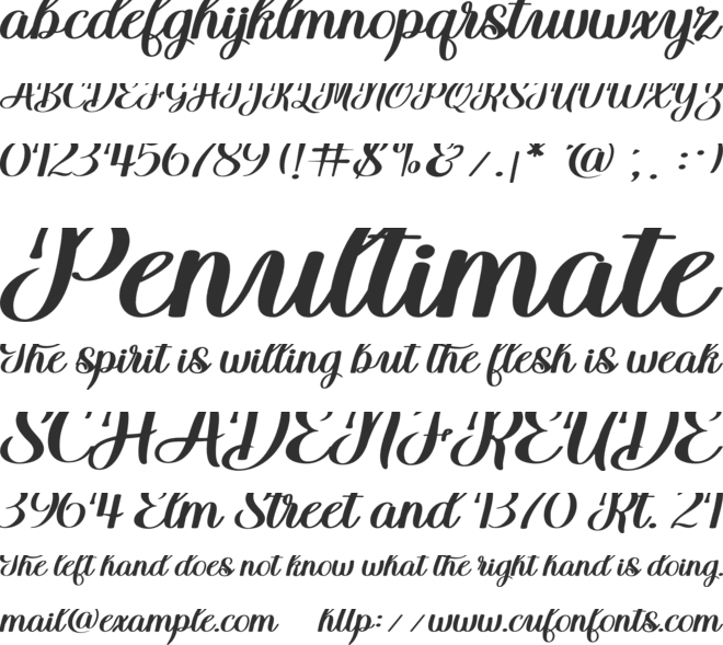 Belsani Script font preview