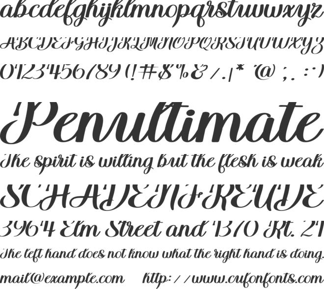 Belsani Script font preview