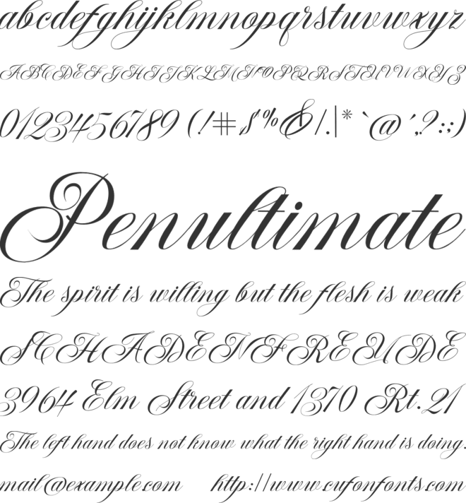 Bargiery font preview