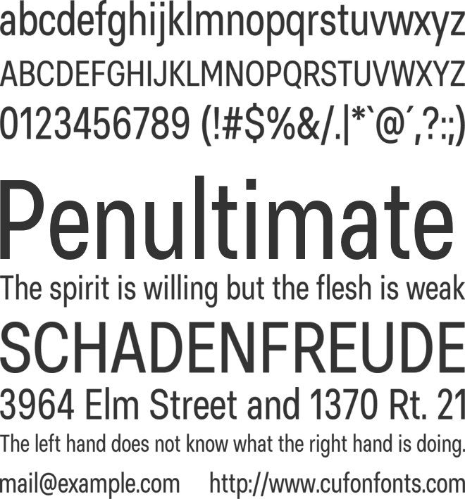 Basier Square Narrow font preview