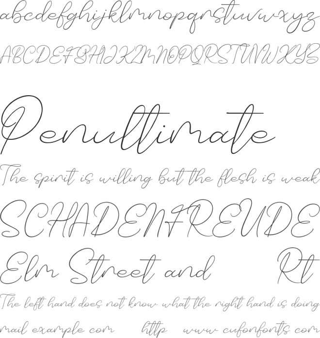 Tushy Perfume font preview