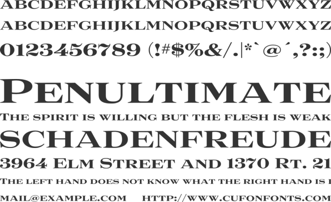 Luxury font preview