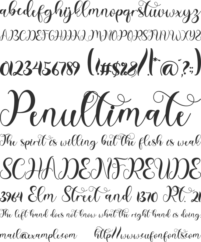 Christmas Script font preview