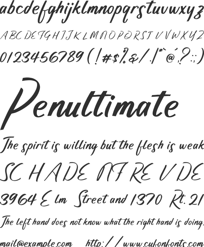 Anjali Script Font font preview